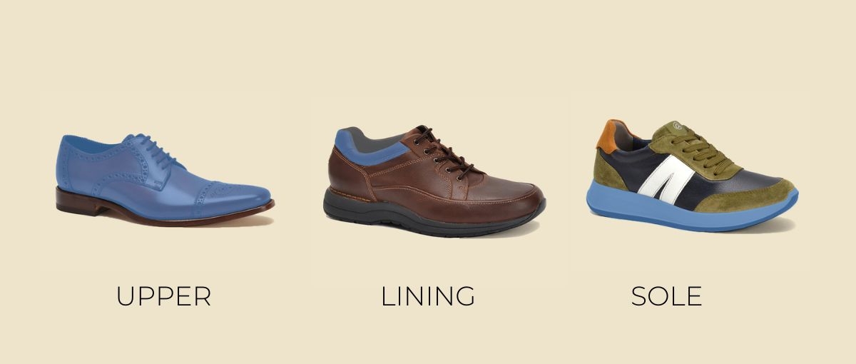 The anatomy of a shoe